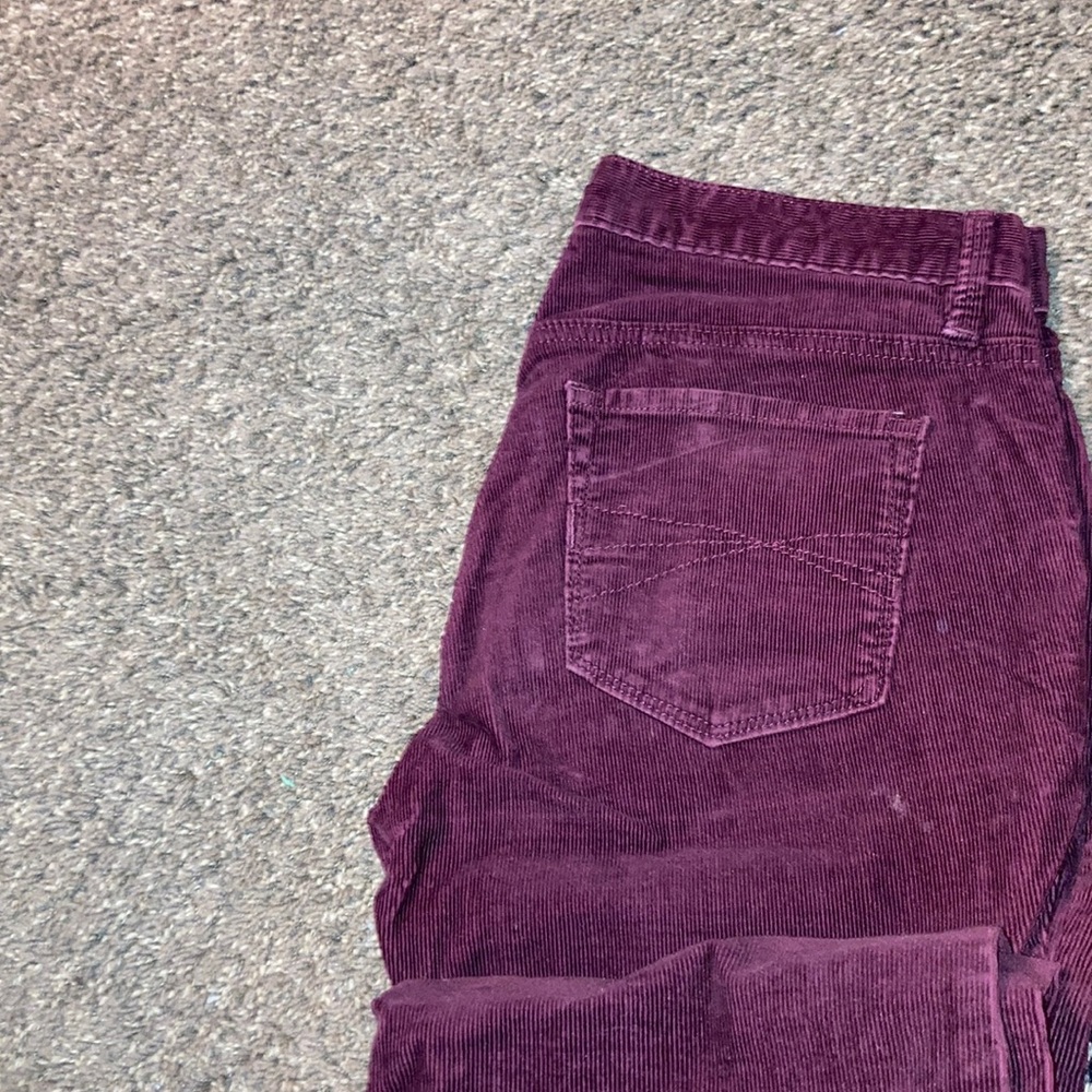ann taylor work pants